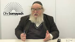 Rambam's Introduction to Chelek18   Arguments Between Accepted Seforim ( HaRav Yitzchak Breitowitz)