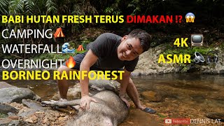 Borneo Camping 2D1N bbq babi hutan🐗(PART 2).4K video//ASMR