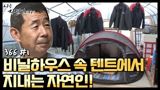 [자연인] 비닐하우스 속 텐트에서 지내는 자연인! 영하 25도 추위 속에서도 텐트 하나로 버텼다?! (#1/5)