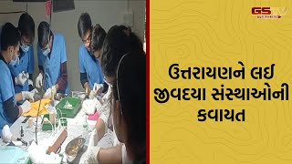 ઉત્તરાયણને લઈ જીવદયા સંસ્થાઓની કવાયત, અબોલા પશુઓ ઘવાતાં કરાશે સારવાર