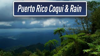 Rain \u0026 Coqui Sounds | Puerto Rico Rain Forest | Sleep Therapy | Help with #Insomnia