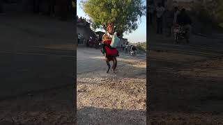 ❤🐴અશ્વ પ્રેમી🐴😍#trending#viralvideo#horsepower#horselover#viralshorts#shorts#love#life#jiv#jan#100k🐴