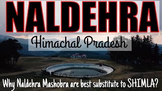 Naldehra near Mashobra is best substitute to SHIMLA Himachal Pradesh