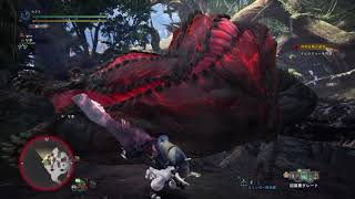 MHW　特別任務「食物連鎖の波に乗れ！」イビルジョー　13分45秒　大剣ソロ