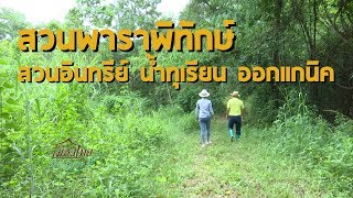 รายการเมืองไทยเมืองเกษตร EP.40 สวนอินทรีย์ น้ำทุเรียน ออกแกนิค ออน 10 ก.ย. 2562