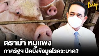 สรุปดราม่า “หมูแพง” กับการปิดบังการระบาดโรคของภาครัฐฯ | workpointTODAY