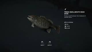 The Long Dark - interloper: Fishing in Broken Railroad