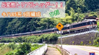 JR東海 高山本線 キハ85 特急ひだ5・25号 飛騨古川・高山行 白川口～下油井