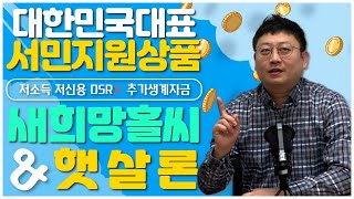 새희망홀씨와 햇살론! 지금부터 대한민국 대표 서민지원상품을 알아보자!