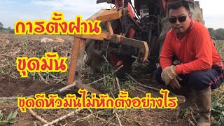 การตั้งฝานขุดมัน