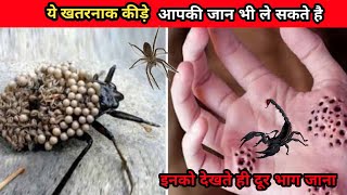 Most dangerous insects in world || दुनिया के खतरनाक कीड़े || Fact Carnage