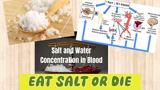 Eat Salt or Die!