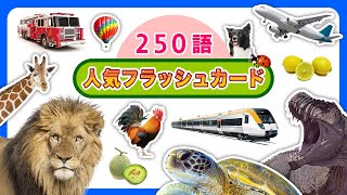 ⭐️250語 人気のひらがなフラッシュカード⭐️ 動物・恐竜・果物・野菜・色・乗り物・昆虫 | 幼児向け単語 | 子ども向けのことばカード 【ひらがな】 Japanese for Kids