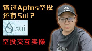 错过Aptos空投还有Sui？天王级项目Sui空投交互实操教程|绝对干活