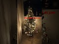 mon sapin de Noël🤩