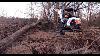 2022 BOBCAT E42 EXCAVATOR LIFTING HUGE TREE \u0026 Road Clearing