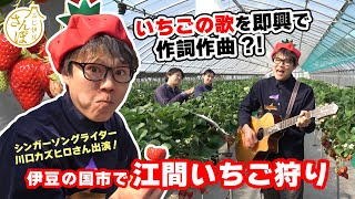 【さんぽ】伊豆の国市で江間いちご狩り　いちごの歌を即興で作詞作曲？！