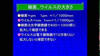 X72 36A ノロウイルスの基礎