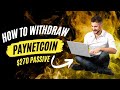 How To Withdraw Paynetcoin From Dashboard To FMC Pay Exchanger! LIVE. #stakingrewards #earncrypto