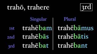 The Imperfect Tense