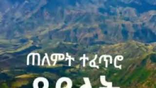 እስኪ ይህ ምርጥ ዘፈን ከምርጥ ለምለም ቦታ ተጋበዙልኝ 💚💛💝