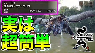 傀異ゴアマガラを4分で討伐する火属性貫通弓装備紹介！傀異鈍化の仕様により超簡単に討伐が可能！【MHR:SB PC】