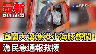 宜蘭大溪漁港小海豚誤闖！ 漁民急通報救援【最新快訊】