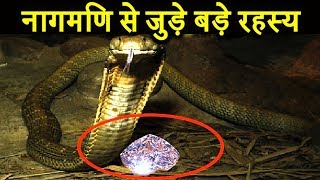 नागमणी से जुड़े अनोखे राज से उठा पर्दा | Mystery of Naagmani Unveiled