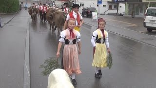 Alpabfahrt Appenzell 18.9.2015