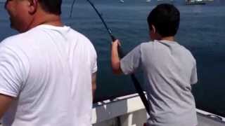 Huge 40lb striped bass in the Long Island sound