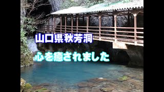 【山口県美祢市】日本最大級の鍾乳洞。秋芳洞に行ってきました。