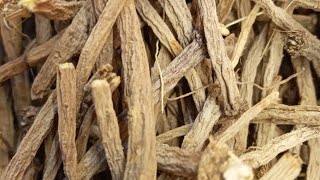 عشبة تقنديشت - فوائد عشبة تقنديشت - Benefits of Taqandisht herb