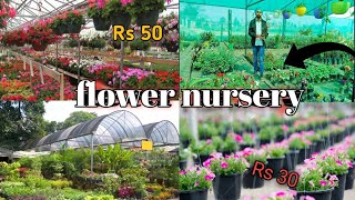 plant nursery visit