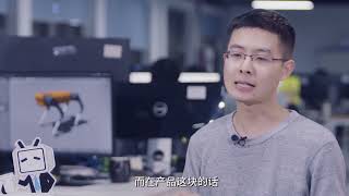 宇树科技创始人王兴兴的创业之路！The Entrepreneurial Journey of Wang Xingxing, Founder of Unitree Robotics