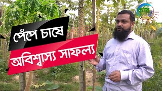 গাজীপুরের জিয়াউল হক রিপনের অভাবনীয় কৃষি সাফল্য | Shykh Seraj | Bangladesh Television |