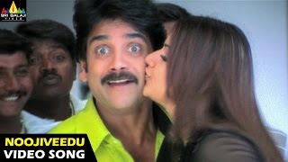 Nenunnanu Songs | Noojiveedu Kellina Video Song | Nagarjuna, Aarti, Shriya | Sri Balaji Video