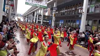 旭食品～2018高知よさこい祭り本祭（帯屋町筋会場）