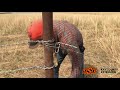 barbed wire fence tying a termination knot