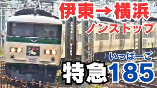 【185系踊り子復活⁉️】まだまだ現役！伊東→横浜ノンストップ！特急「185」に乗車