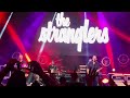 THE STRANGLERS no more heroes live rebellion 2024