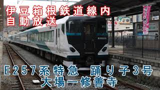 【E257系 伊豆箱根鉄道線内 自動放送】特急踊り子3号 大場ー修善寺