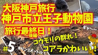 大阪神戸旅行編＃5、動物園後編！カバ、パンダ、レッサーパンダ、キリンをみる！