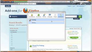 Firebug Quick How-To