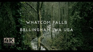 Whatcom Falls in 4K – 2 Hours of Calm Stream Nature Sounds for Relaxation, Mindfulness, and Sleep