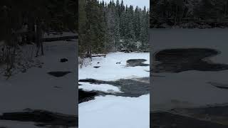 Равнинные водопады Ахвенкоски в Карелии 💦🧊❄️Кто был? я была раньше летом, теперь впервые зимой)