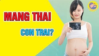 🍀 Dấu Hiệu Mang Thai Bé Trai - Cách Nhận Biết Giới Tính Thai Nhi | Kiến Thức Mẹ Bầu