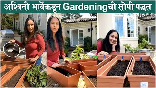 Ashwini Bhave TEACHES How To PLANT VEGETABLES At Home| अश्विनी भावेंकडून शिका Gardeningची सोपी पद्धत