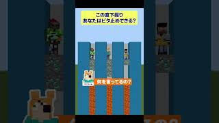 この直下掘り、誰かが明らかにミスしているぞ【マイクラ】