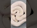 super dwarf super motley purple albino shorts pet amazing animals snake