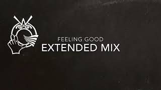 Virtue - feeling good / extended mix